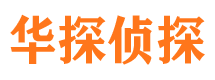 紫金市侦探调查公司